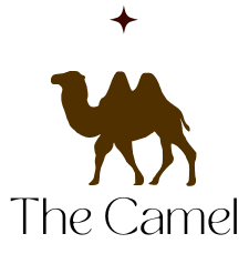 thecamel.ma